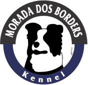 Morada dos Borders - Border Collie
